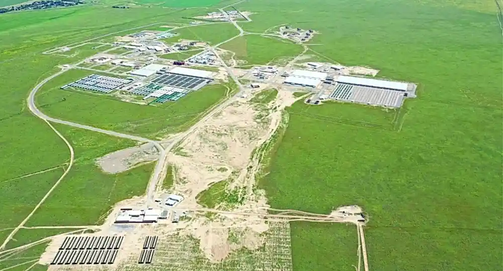 Станция размножения дрофы 2